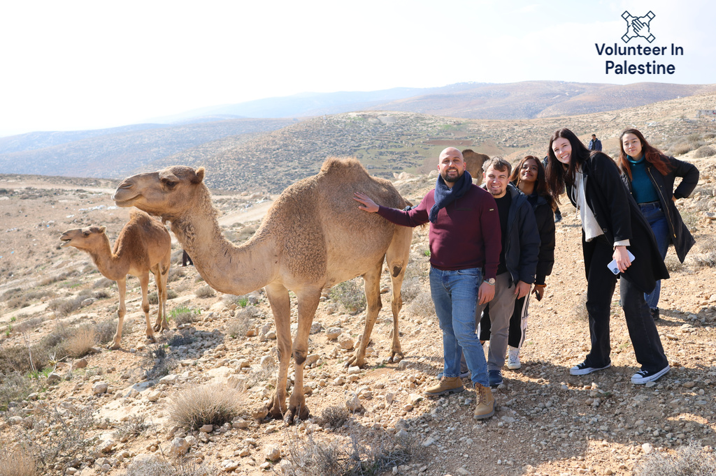 Volunteer in Palestinian Refugee Camps in Hebron