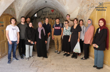 Is it Safe to Volunteer in Palestine in 2026/2027?