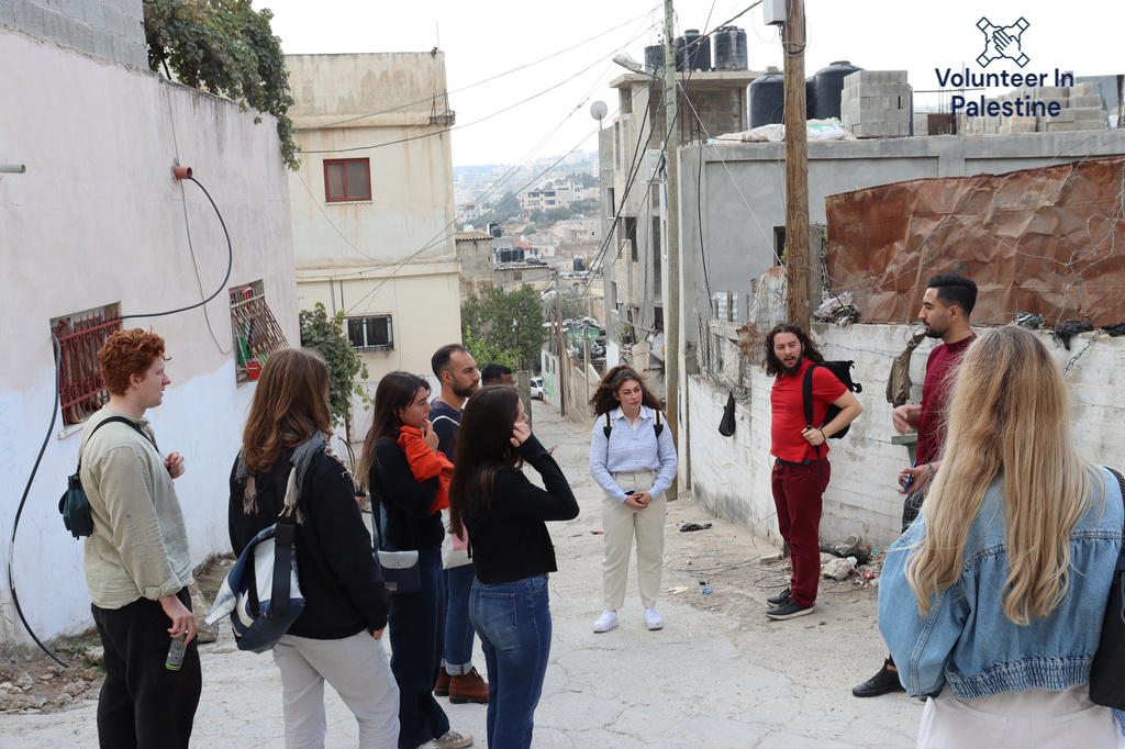 Human Rights Volunteer Program in Palestine