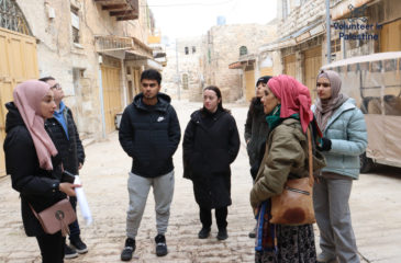 How to Volunteer in Masafer Yatta - Hebron?