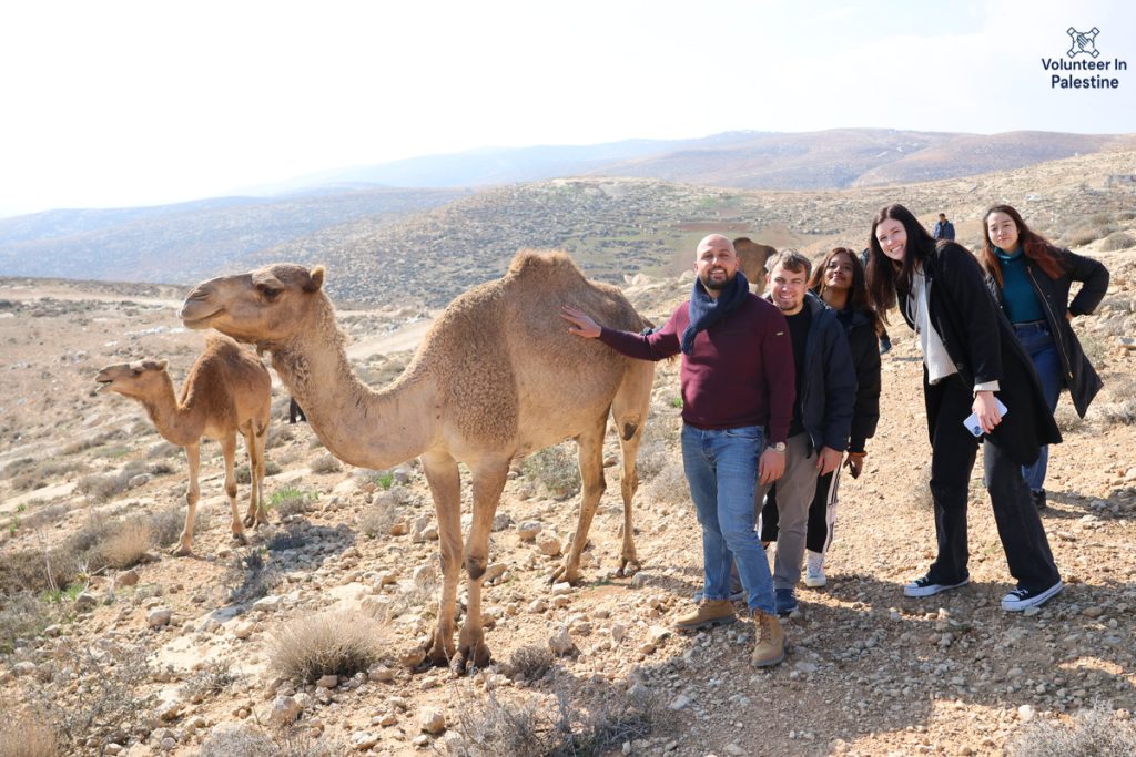 Volunteer Work in Palestine