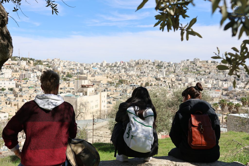 Best Places for an Internship in Palestine