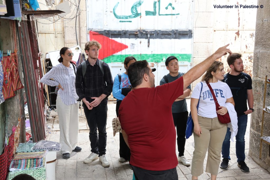 Human Rights Internship Programs In Palestine