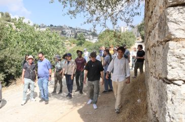 Best Internship Organizations in Palestine