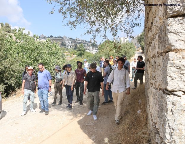 Best Internship Organizations in Palestine
