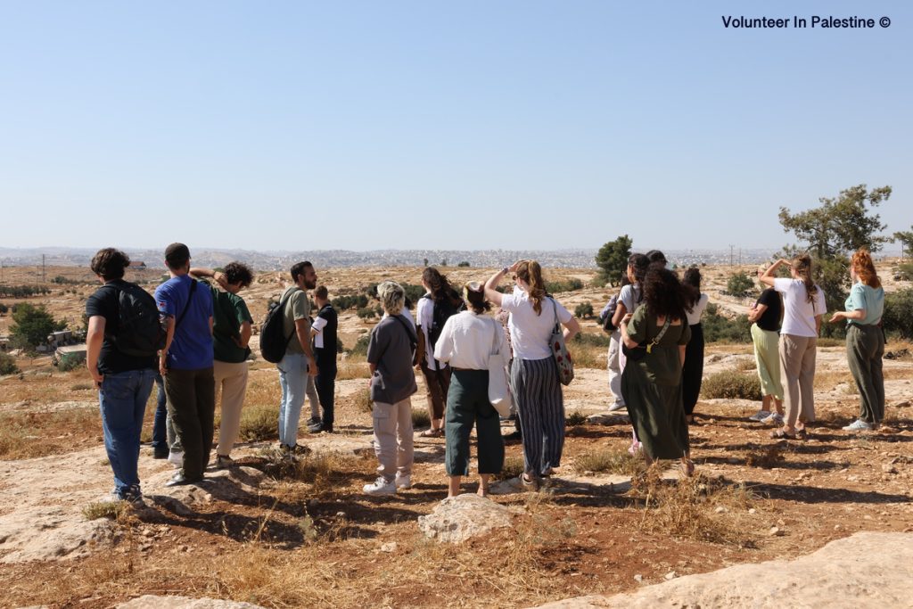 Volunteer To Write About Palestine (1-3 Months)